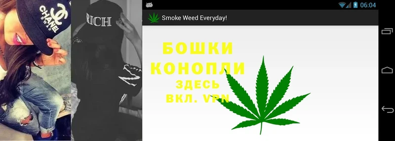 Конопля Bruce Banner  Ахтубинск 